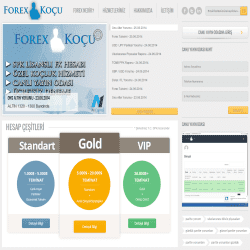 Forex Koçu